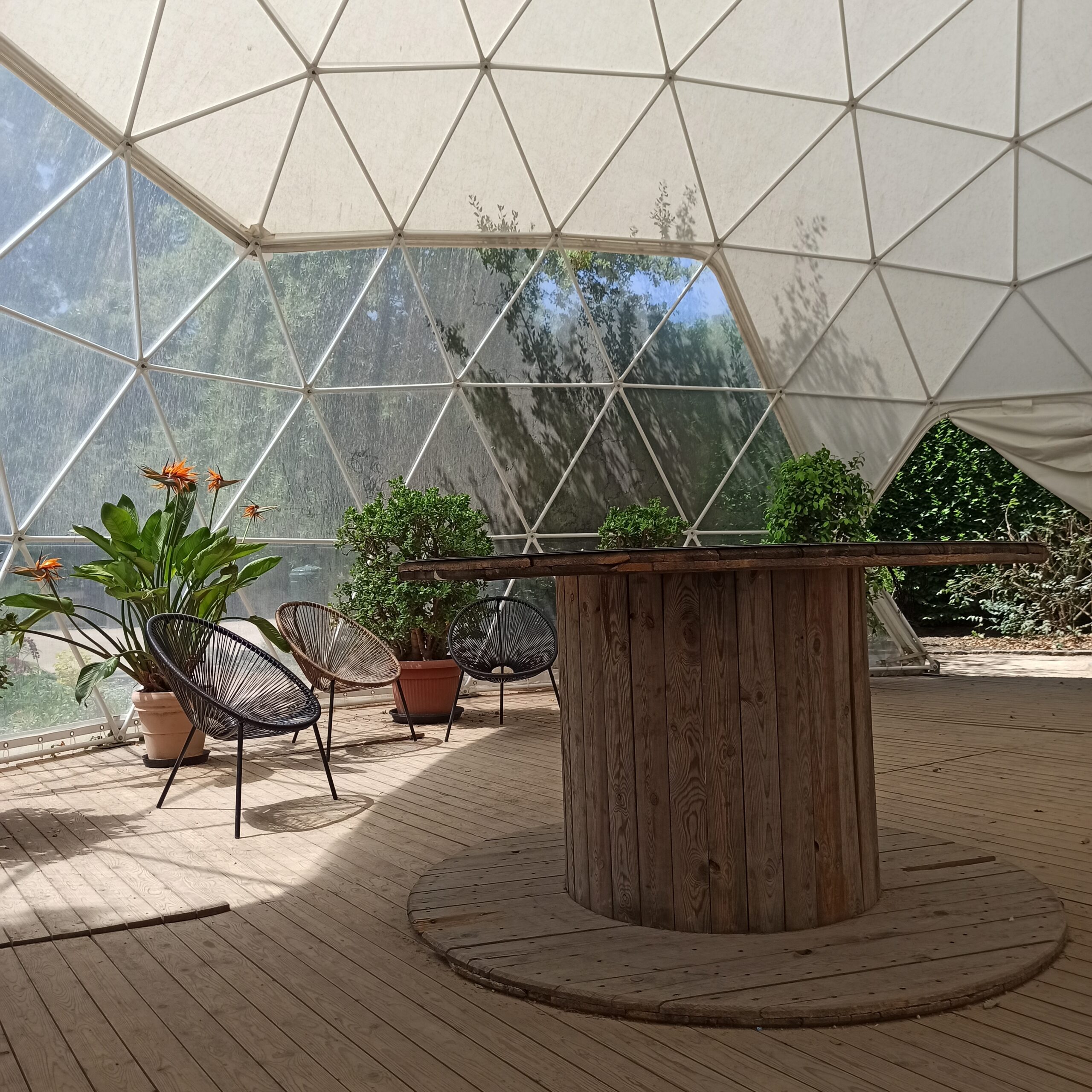 Bubble building in the botanical garden