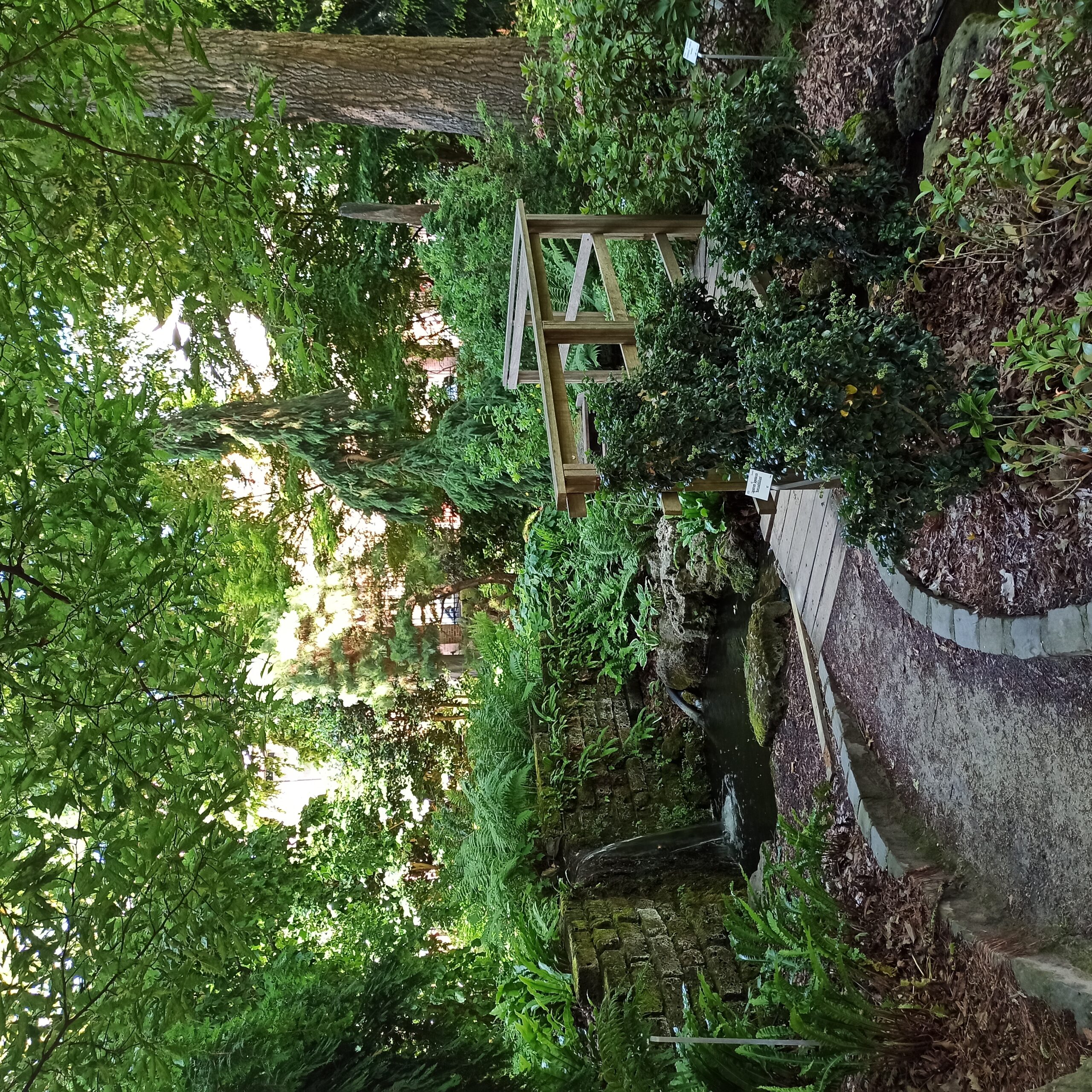 Small wooden bridge and small waterfall at Kruidtuin
