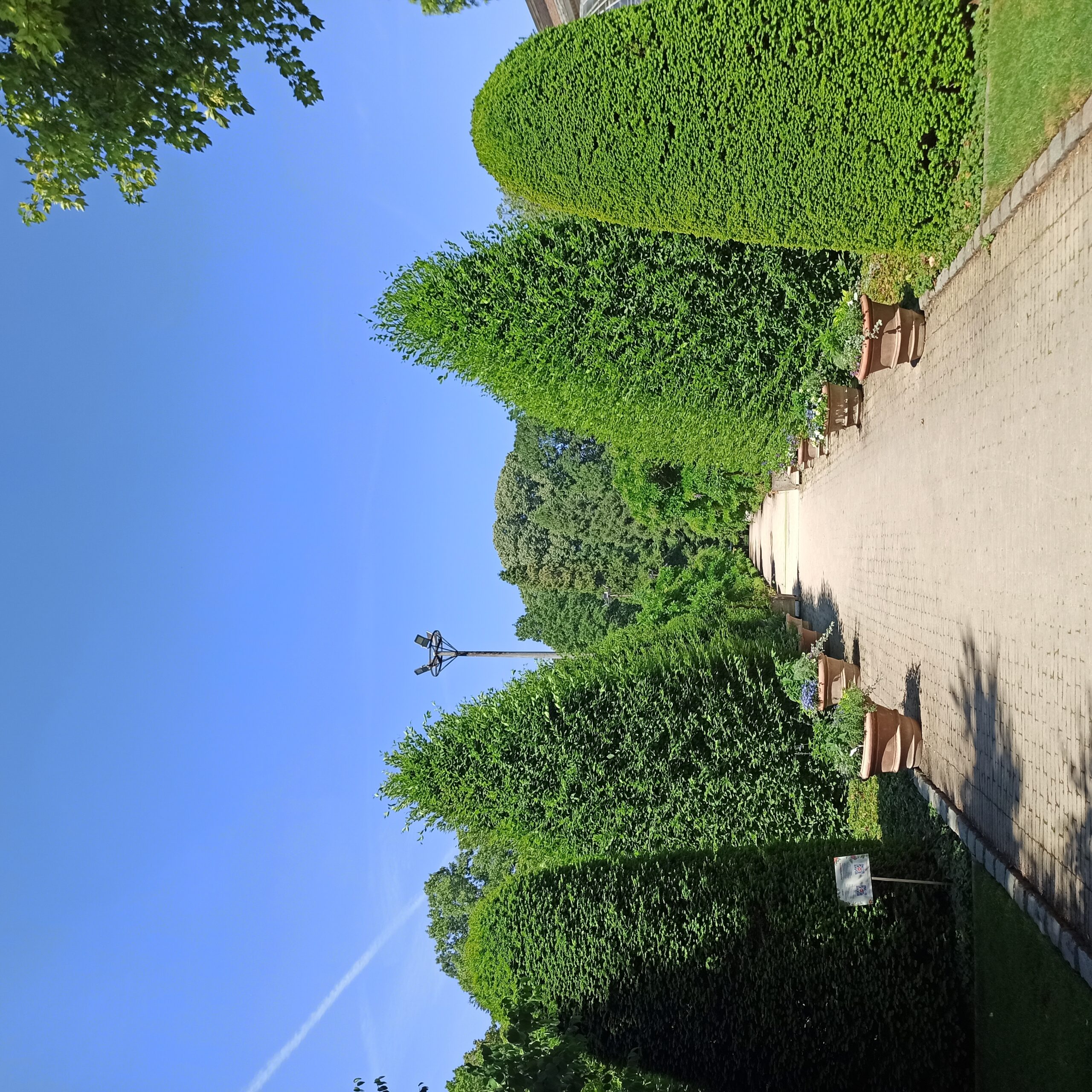 Green aisle at Kruidtuin