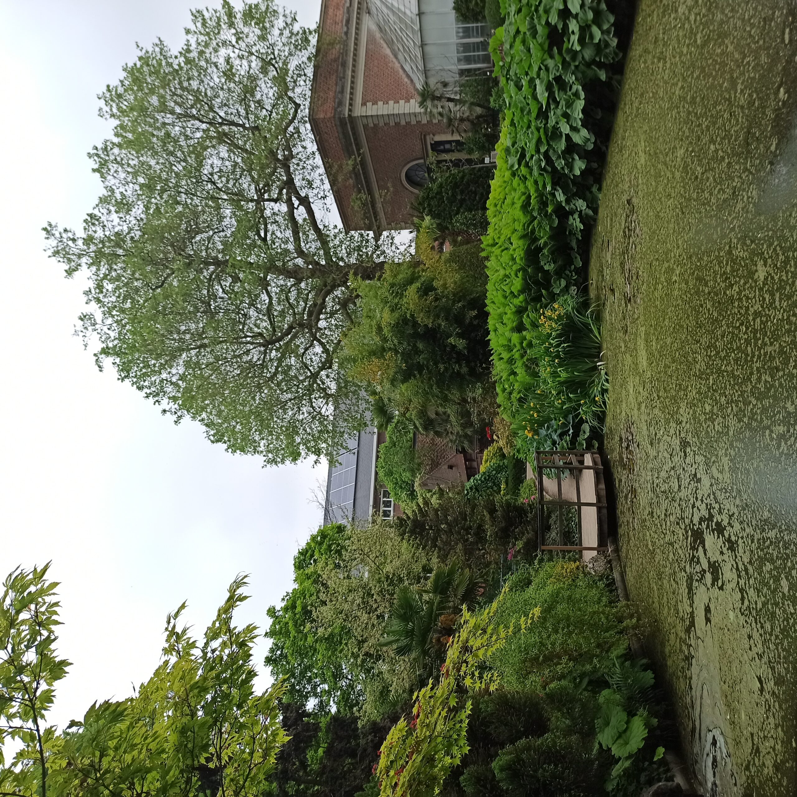 View on the lake in Kruidtuin