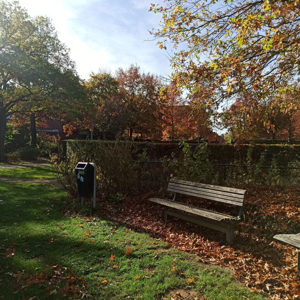 bench in the park